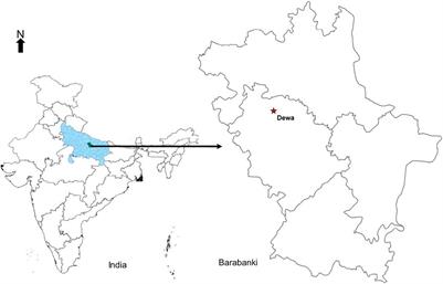 Non-invasive Estimation of Foliar Nitrogen Concentration Using Spectral Characteristics of Menthol Mint (Mentha arvensis L.)